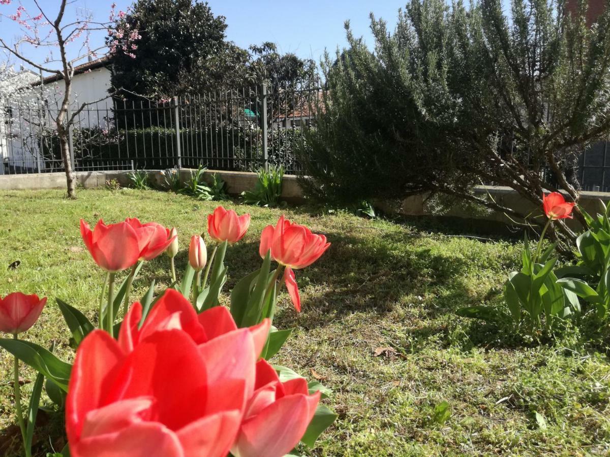 Home Di Federico Chivasso Εξωτερικό φωτογραφία